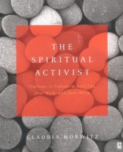 Cover art for The Spiritual Activist: Practices to Transform Your Life, Your Work, and Your World (Compass)