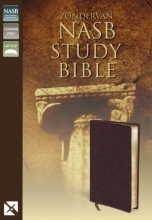 Cover art for NASB Zondervan Study Bible (Burgundy)