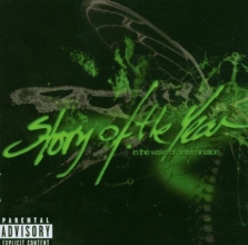 Cover art for In the Wake of Determination