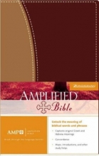 Cover art for Amplified Duo Tone - International