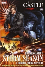 Cover art for Castle: Richard Castle's Storm Season