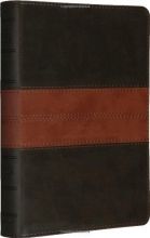 Cover art for ESV Personal Size Reference Bible (TruTone, Forest/Tan, Trail Design)