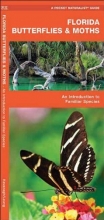 Cover art for Florida Butterflies & Moths: A Folding Pocket Guide to Familiar Species (Pocket Naturalist Guide Series)