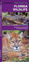 Cover art for Florida Wildlife: A Folding Guide to Familiar Animals (Pocket Naturalist Guide Series)