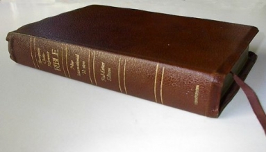 Cover art for Thompson Chain Reference Bible New International Version Red Letter Edition