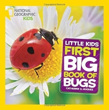 Cover art for National Geographic Little Kids First Big Book of Bugs (National Geographic Little Kids First Big Books)