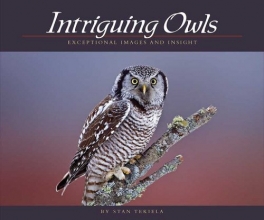 Cover art for Intriguing Owls: Extraordinary Images and Insight