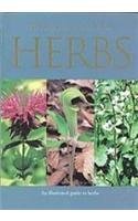 Cover art for A Pocket Guide to Herbs
