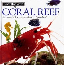 Cover art for Look Closer: Coral Reef