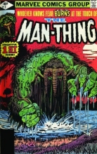 Cover art for Essential Man-Thing - Volume 2 (Essential (Marvel Comics))