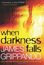 Cover art for When Darkness Falls