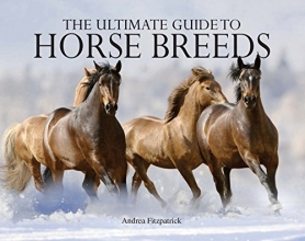 Cover art for Ultimate Guide to Horse Breeds (Paperback Chunkies)