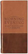 Cover art for Morning and Evening (Matt Tan/ Burgundy)