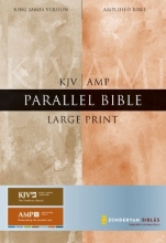 Cover art for KJV/Amplified Parallel Bible, Large Print (King James Version)