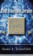 Cover art for The Human Brain: A Guided Tour (Science Masters Series)