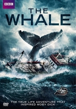 Cover art for The Whale 