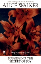Cover art for Possessing the Secret of Joy