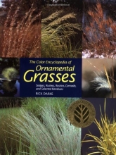Cover art for The Color Encyclopedia of Ornamental Grasses: Sedges, Rushes, Restios, Cat-Tails and Selected Bamboos