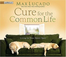 Cover art for Cure for the Common Life