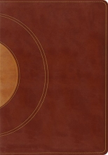 Cover art for ESV Study Bible (TruTone, Walnut/Taupe, Core Design)