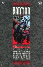 Cover art for Batman: Bloodstorm