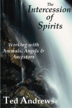 Cover art for The Intercession of Spirits: Working with Animals, Angels & Ancestors