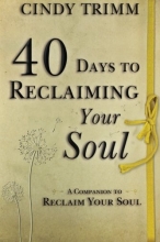 Cover art for 40 Days to Reclaiming Your Soul: A Companion to Reclaim Your Soul