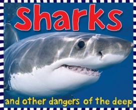 Cover art for Sharks (Smart Kids)