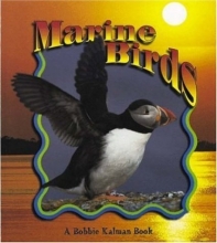 Cover art for Marine Birds (Birds Up Close)
