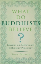 Cover art for What Do Buddhists Believe?: Meaning and Mindfulness in Buddhist Philosophy