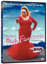 Cover art for Pink Flamingos