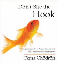 Cover art for Don't Bite the Hook: Finding Freedom from Anger, Resentment, and Other Destructive Emotions