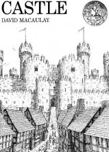 Cover art for Castle