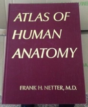 Cover art for Atlas of Human Anatomy
