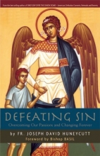 Cover art for Defeating Sin: Overcoming Our Passions and Changing Forever