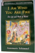 Cover art for I Am Wind, You Are Fire: The Life and Work of Rumi