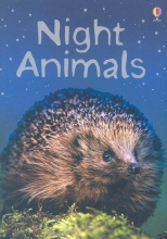Cover art for Night Animals (Beginners Nature)