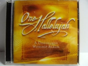 Cover art for One Hallelujah