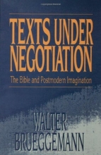 Cover art for Texts Under Negotiation: The Bible and Postmodern Imagination