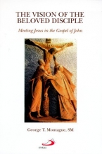 Cover art for The Vision of the Beloved Disciple: Meeting Jesus in the Gospel of John