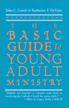 Cover art for The Basic Guide to Young Adult Ministry