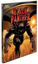 Cover art for Marvel Knights: Black Panther