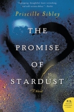 Cover art for The Promise of Stardust: A Novel