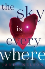 Cover art for The Sky Is Everywhere