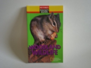 Cover art for Woodland wildlife (My first pocket guide)