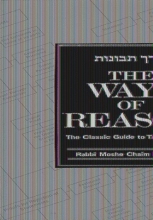 Cover art for The Ways of Reason: The Classic Guide to Talmud Study (Derech Tevunoth)