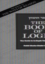 Cover art for The Book of Logic: The Guide to In-Depth Talmud Study  (English and Hebrew Edition)