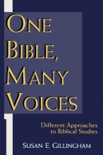 Cover art for One Bible, Many Voices: Different Approaches to Biblical Studies