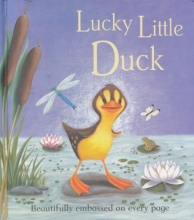Cover art for Lucky Little Duck