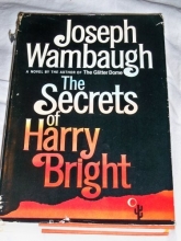 Cover art for The Secrets of Harry Bright